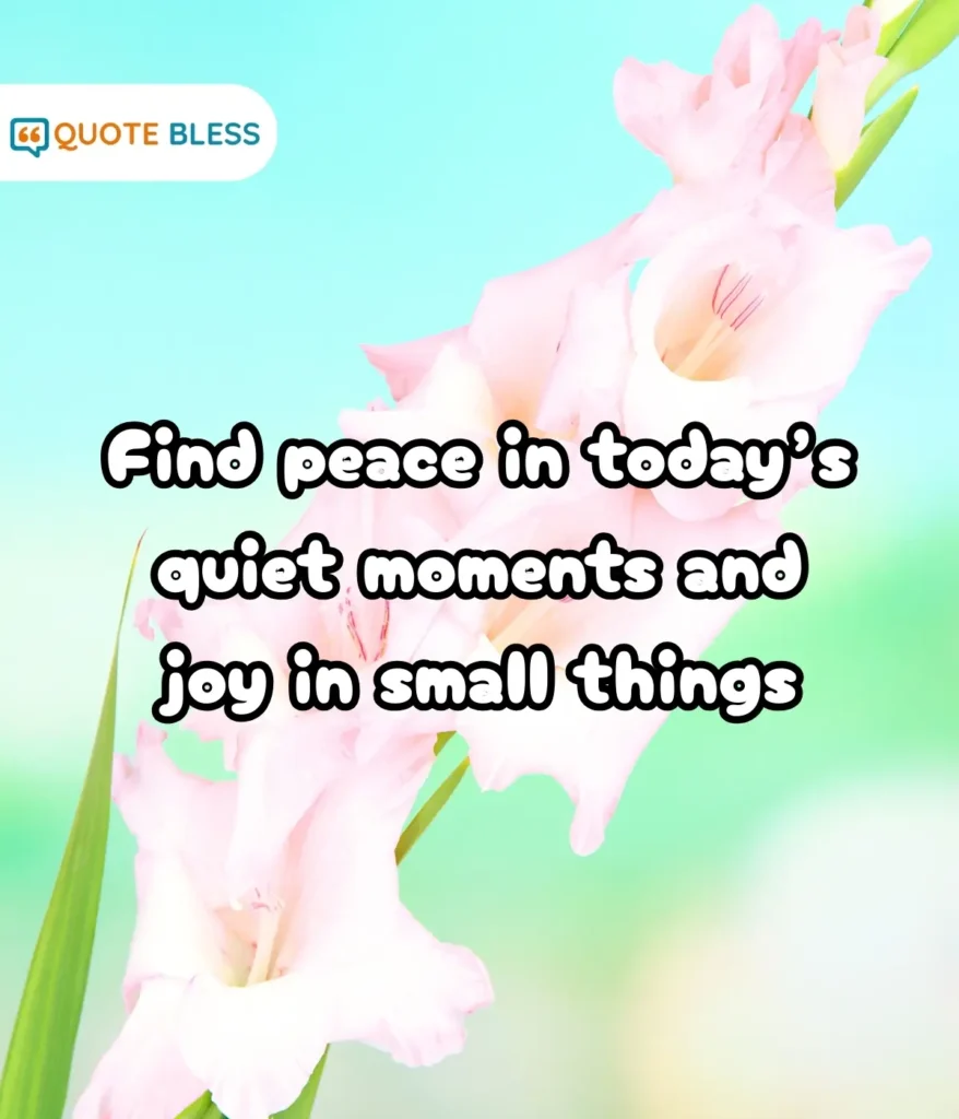 Peaceful Evening Reflections