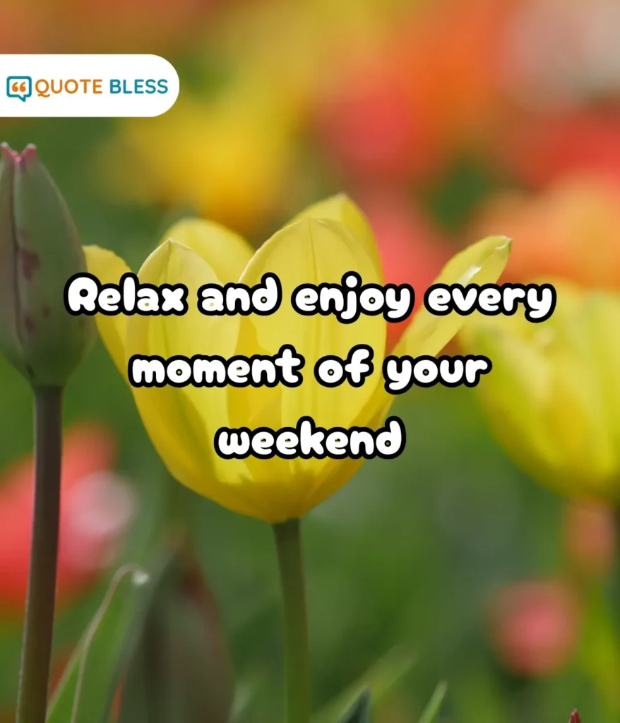 Weekend Motivation For A Fresh Start