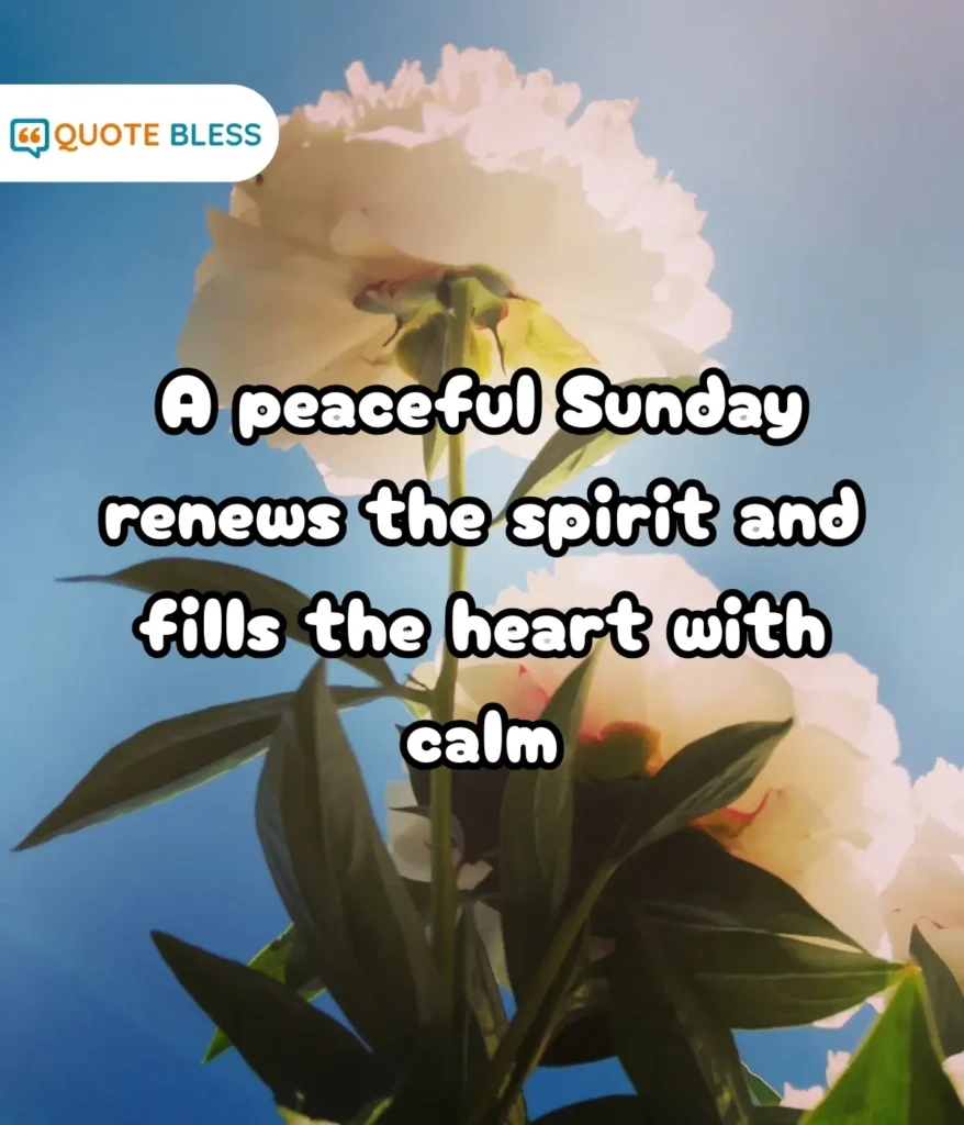 Gentle Words to Start the Day Calmly