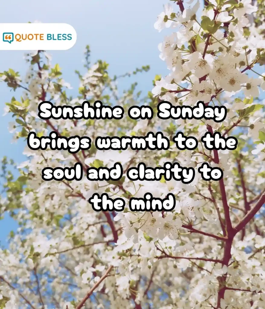 Motivational Thoughts for a Productive Sunday