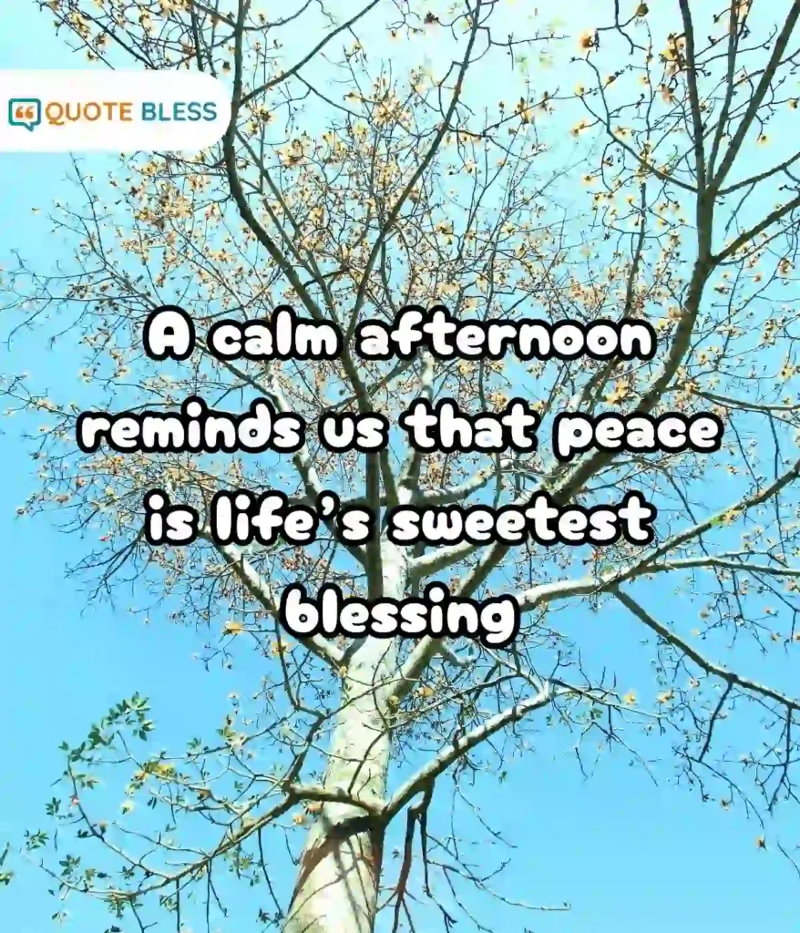 Reflections on Peace, Rest, and Happiness