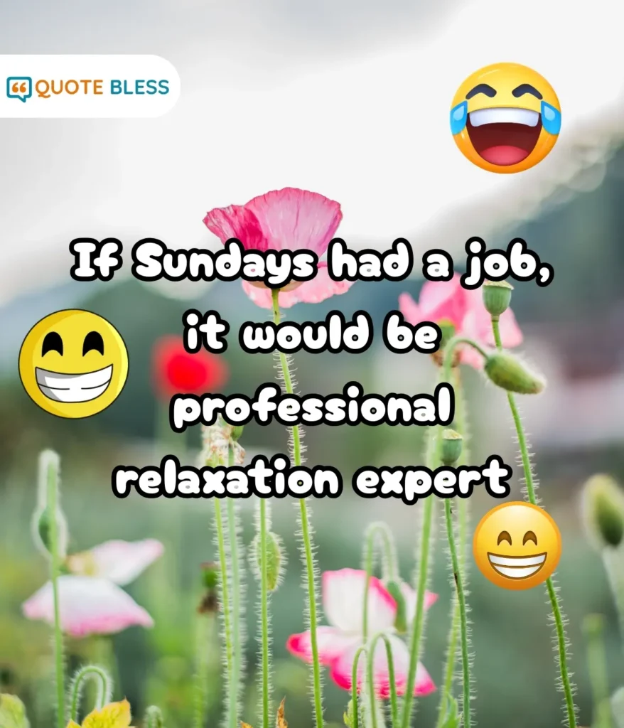 Humor to Brighten the Day