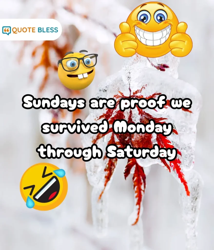 Humor to End the Week with a Smile