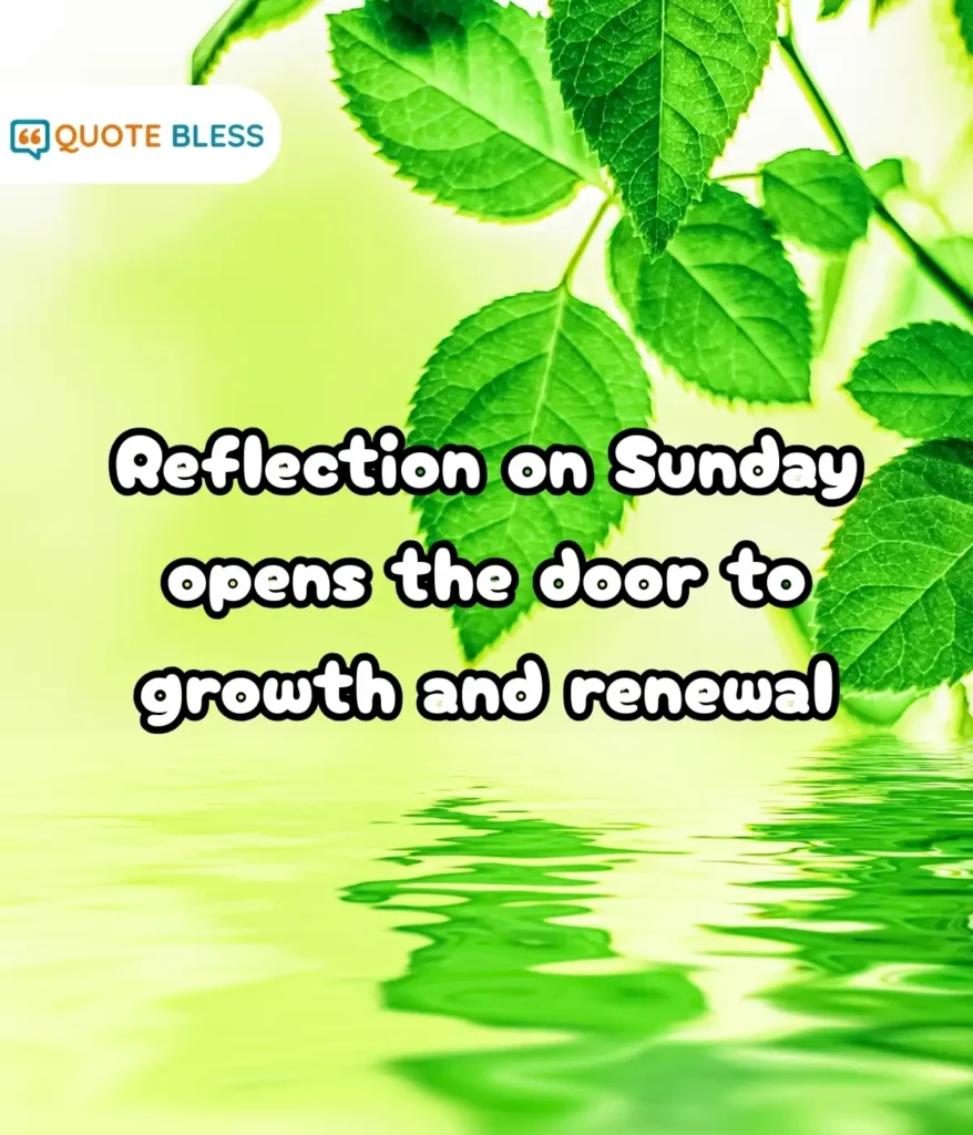 Gentle Reminders of Positivity and Hope