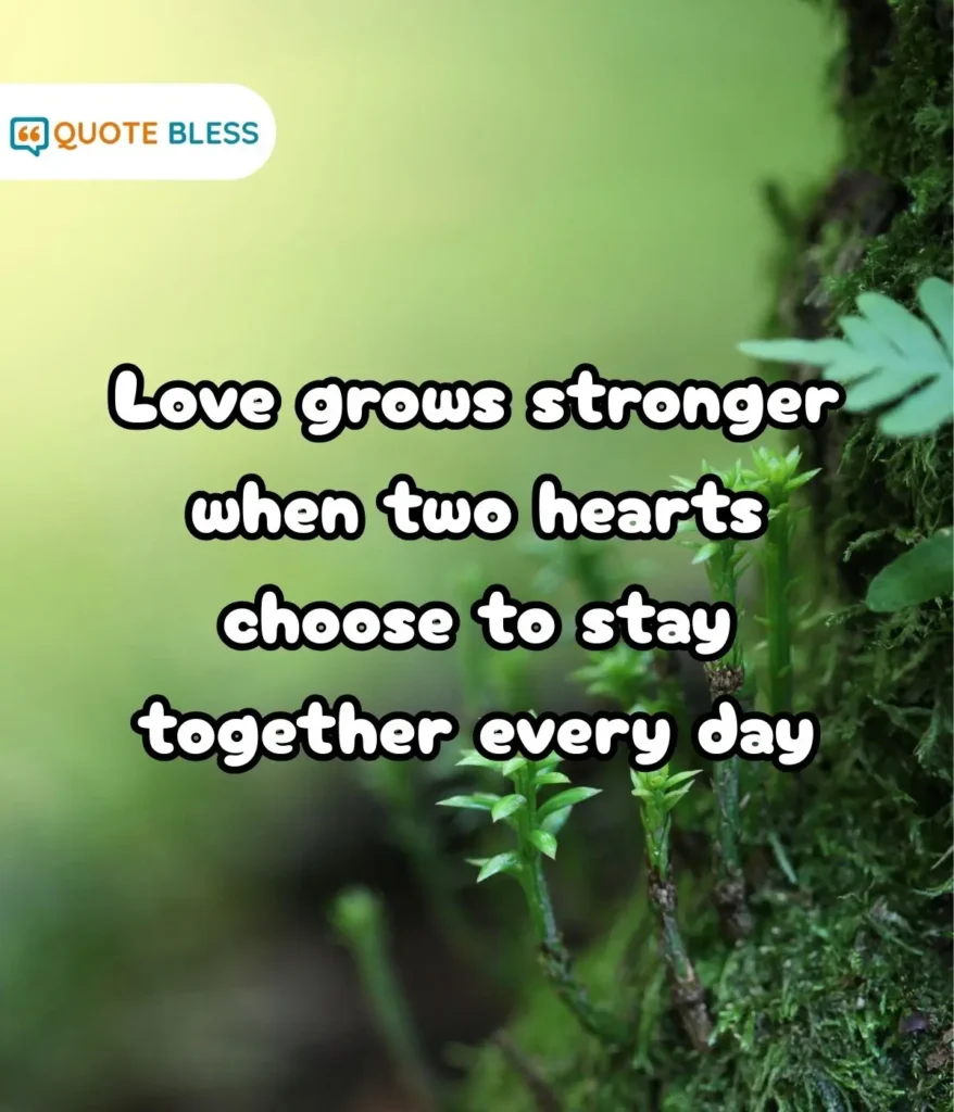 Heartfelt Quotes That Capture True Love