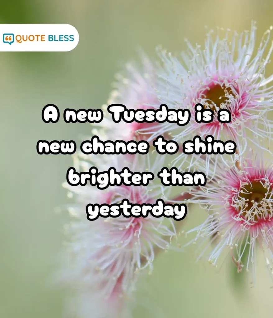 Warm Wishes for A Bright and Productive Morning