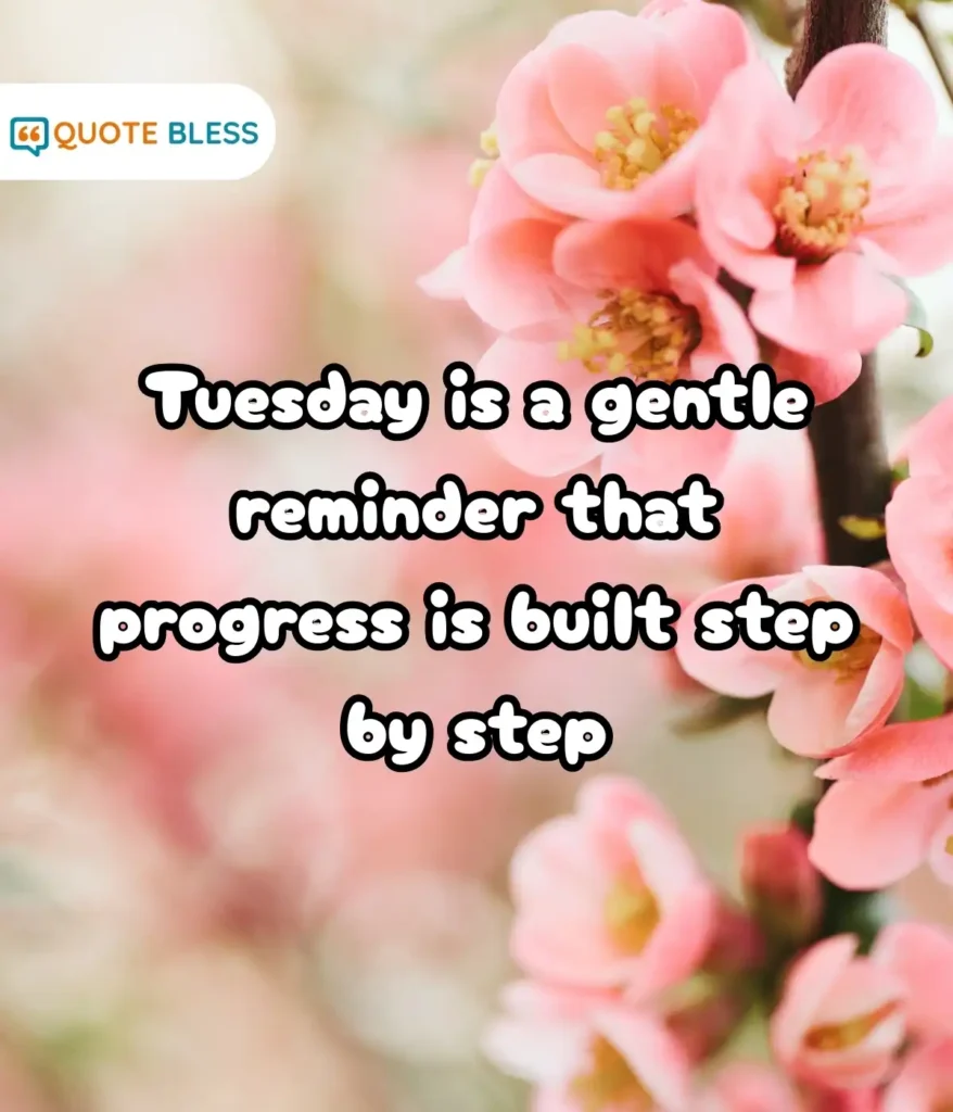 Thoughtful Greetings to Show Care and Support