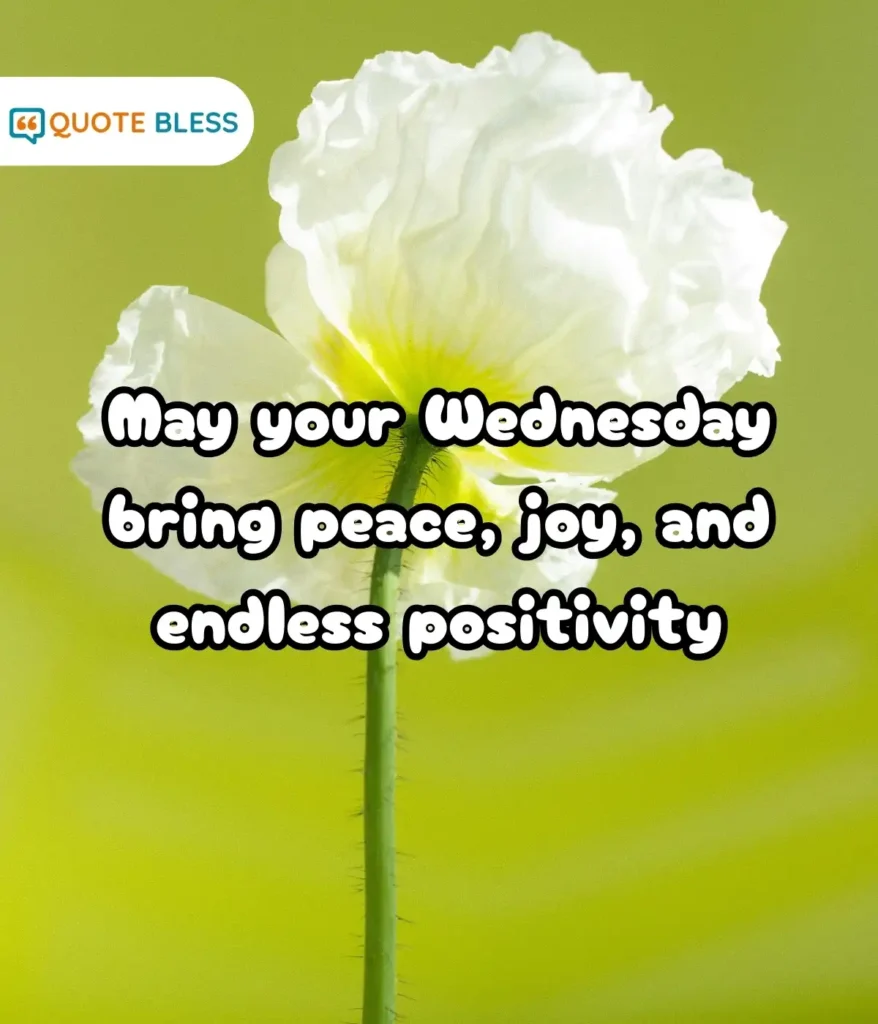 Fresh Thoughts to Begin the Day