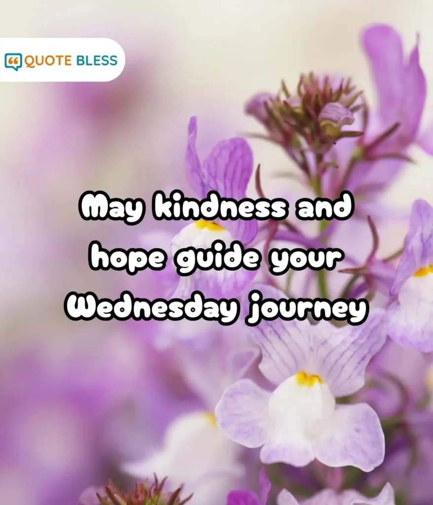 Simple Sentences Filled with Kindness