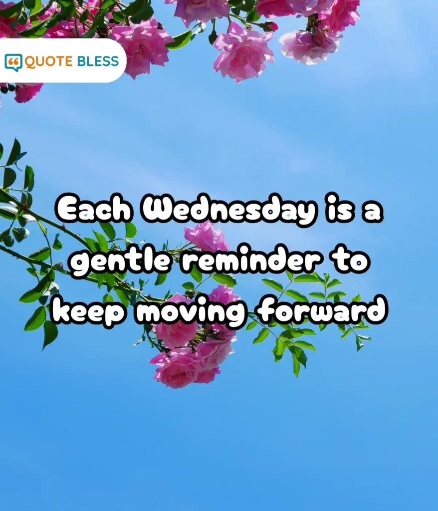 Gentle Reminders to Stay Hopeful