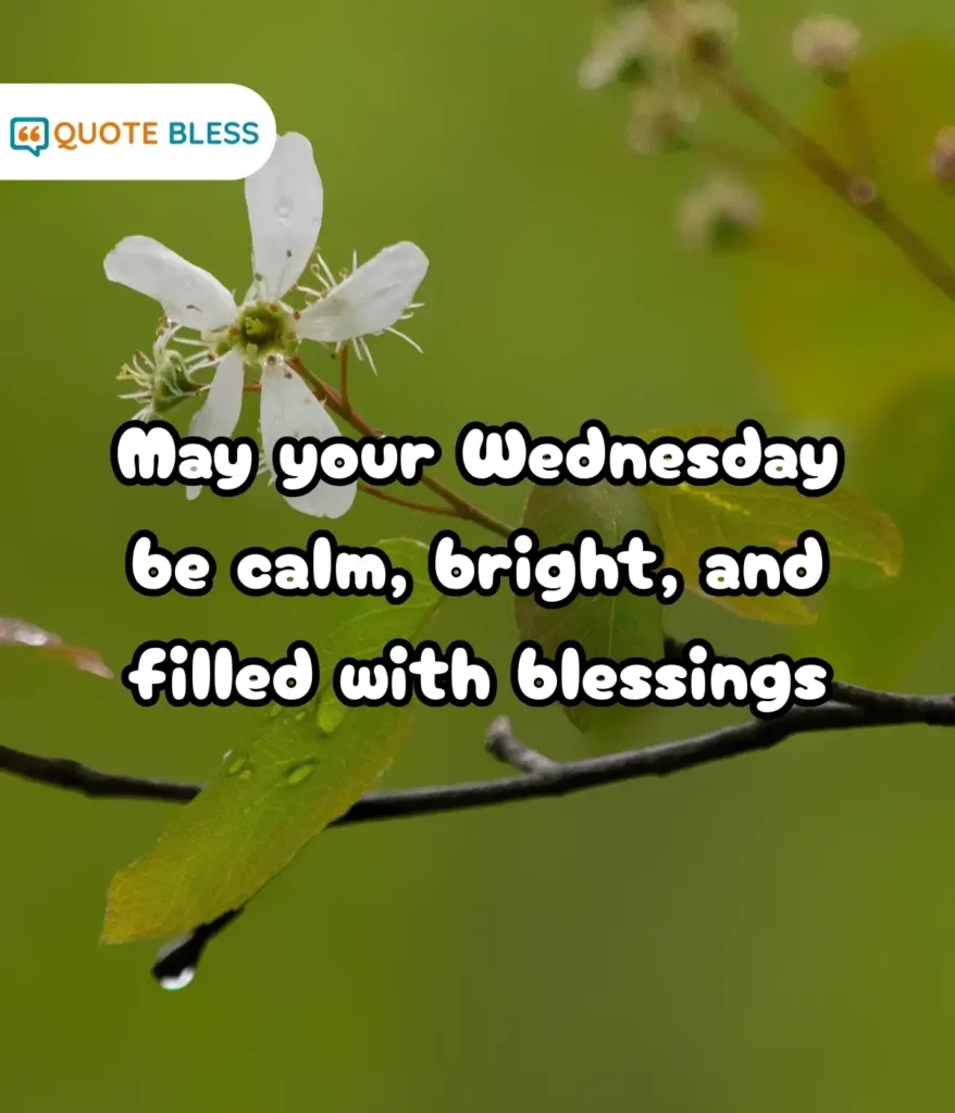 Heartwarming Messages for a Cheerful Midweek