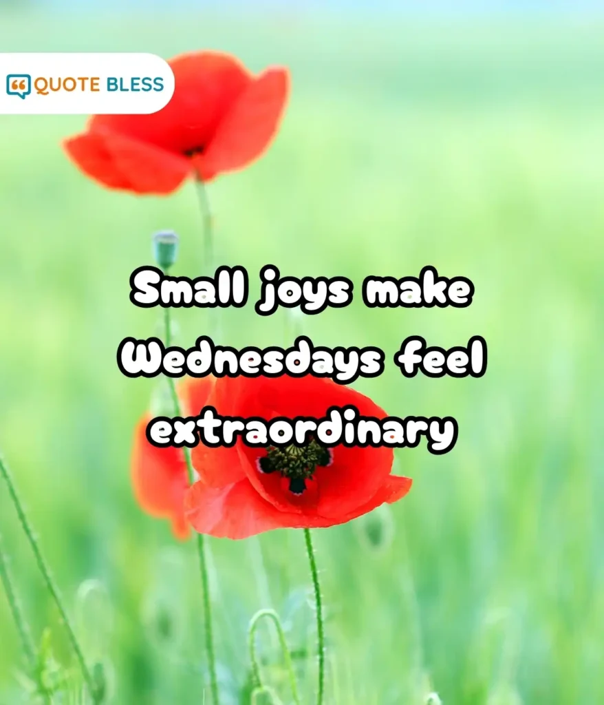 Kind Words to Spread Happiness Around