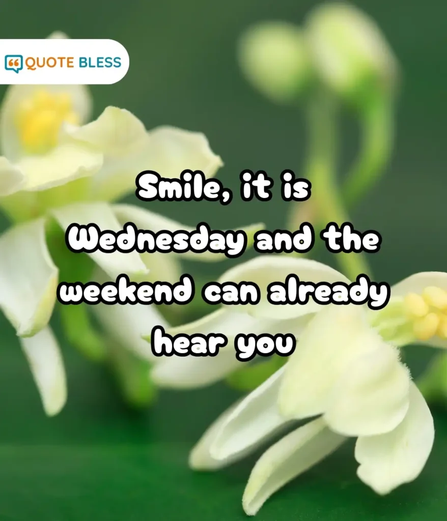 Lighthearted Sayings for a Cheerful Wednesday