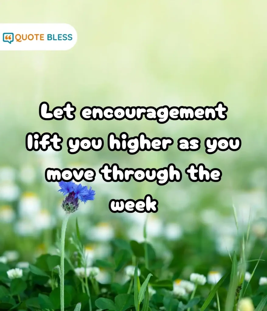 Positive Sayings to Brighten Your Day