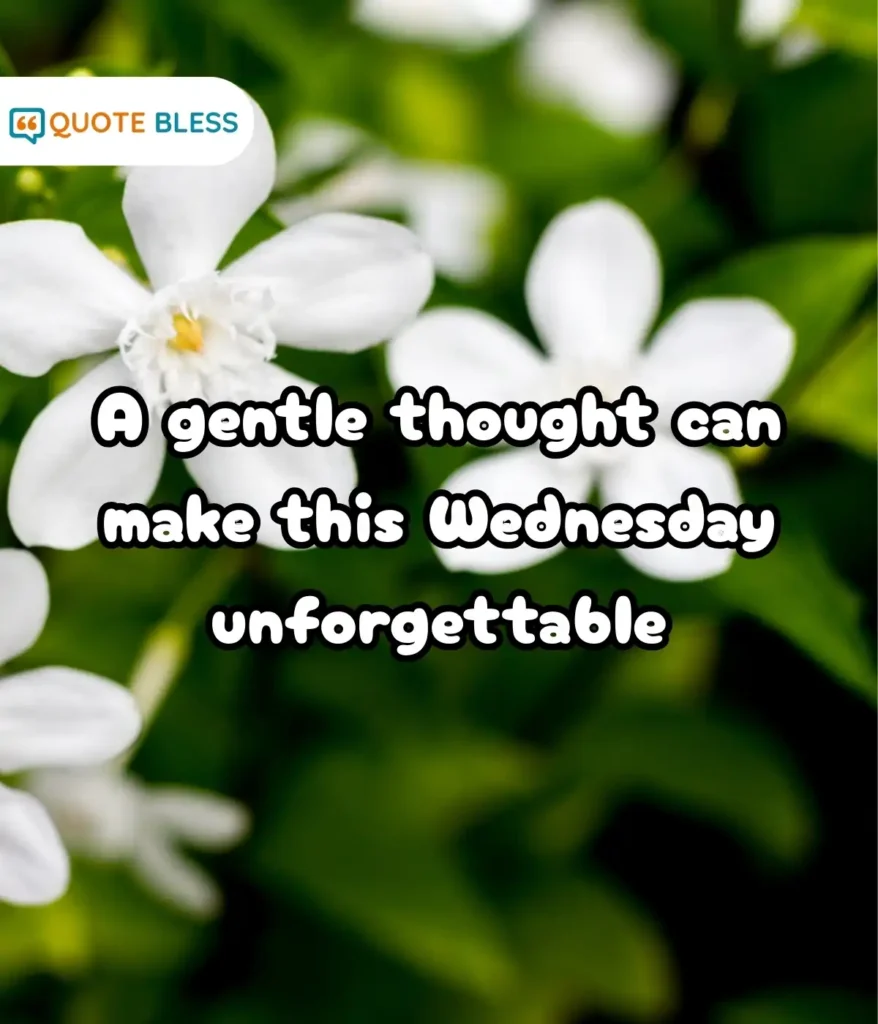 Comforting Thoughts for Inner Strength