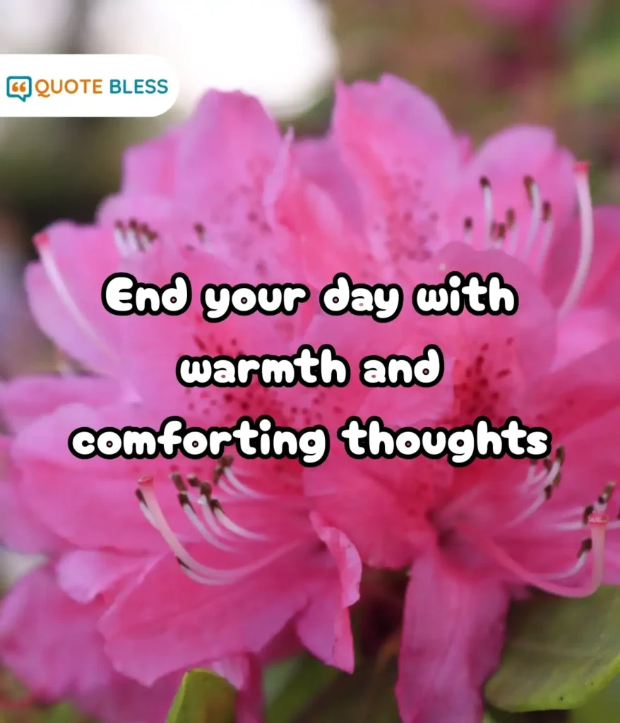 Positive Reflections for a Thankful Mindset