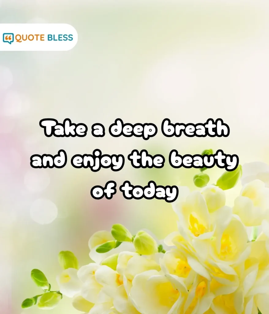 Tweets and WhatsApp Messages to Inspire Others