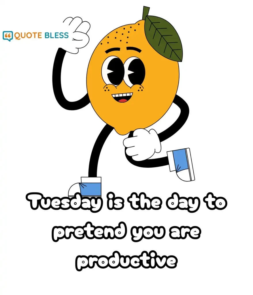 WhatsApp Status Ideas for a Fun Tuesday