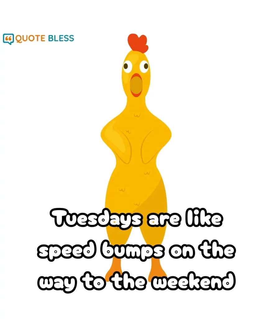 Quotes to Keep Your Spirits High on Tuesday