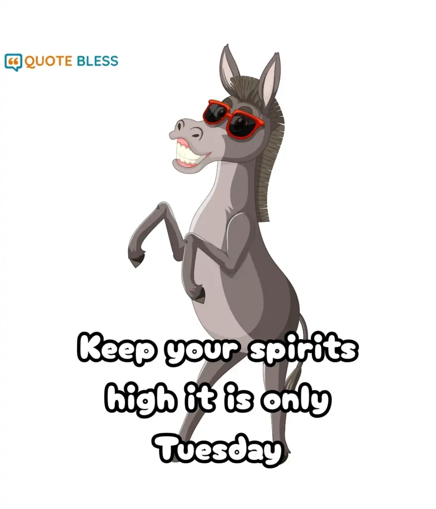 Combining Humor With Productivity on Tuesday