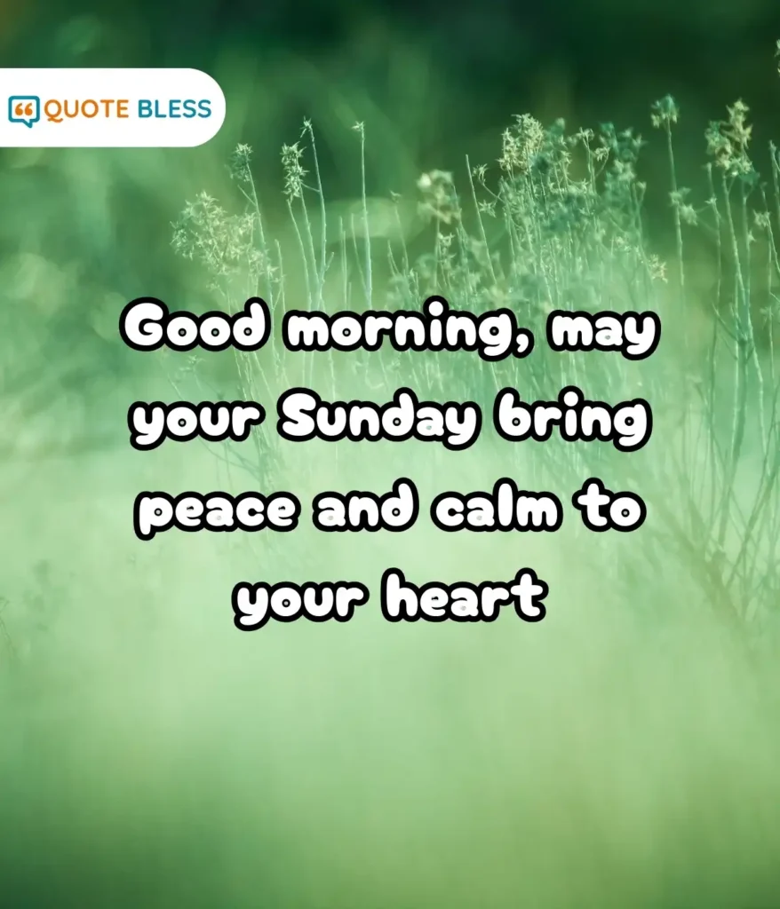 Gentle Blessings to Brighten the Day