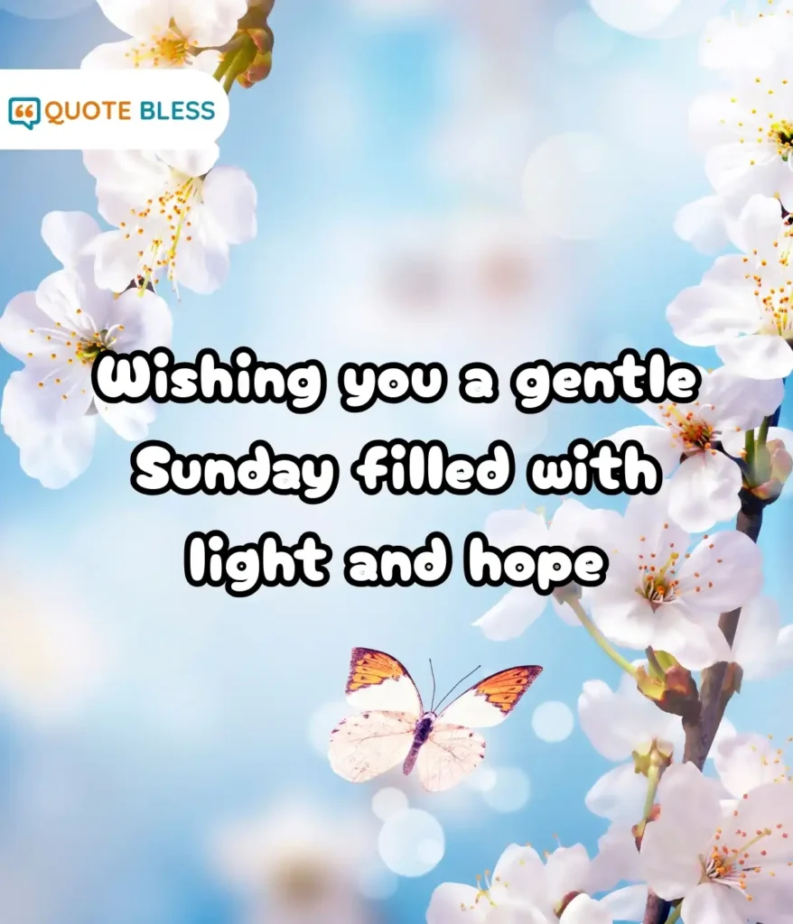 Positive Words to Start the Morning Peacefully