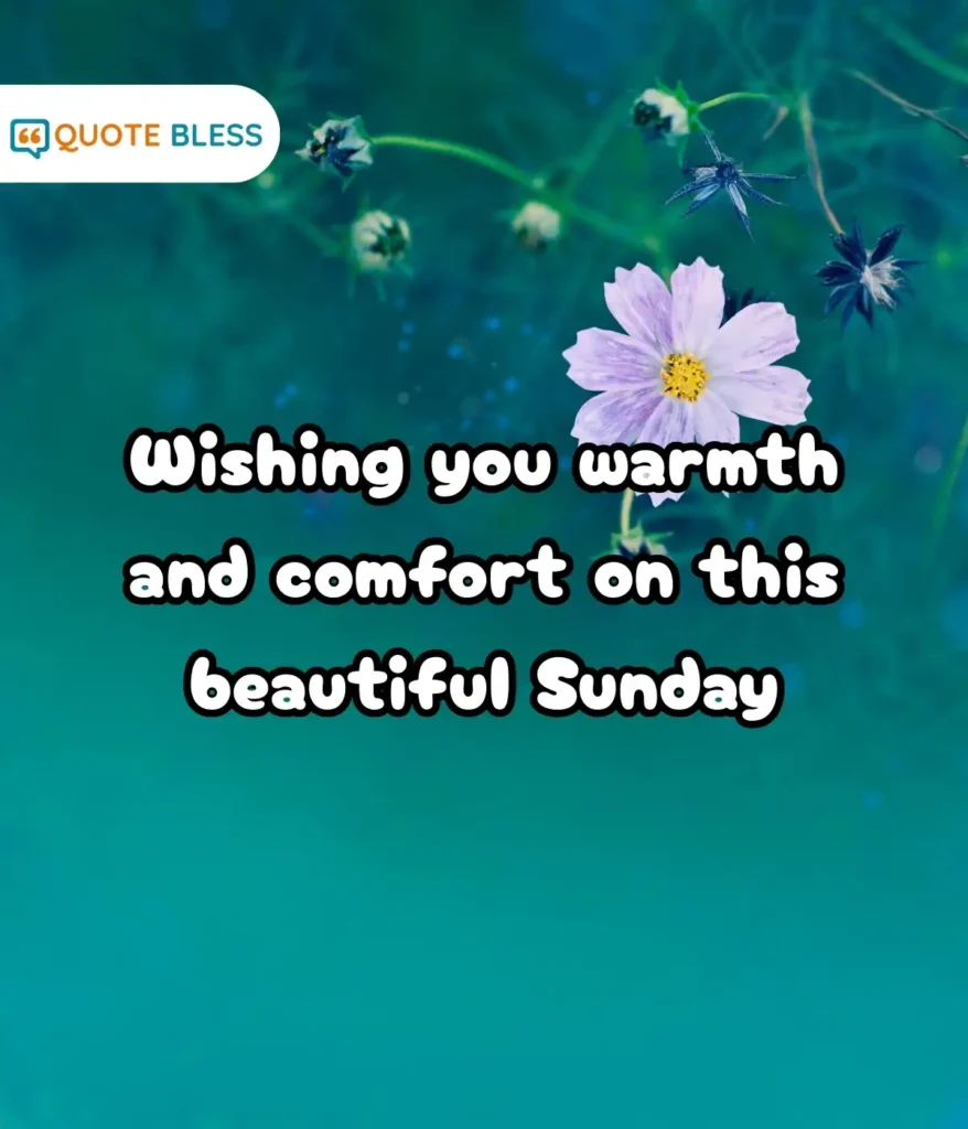 Thoughtful Wishes for Someone Special