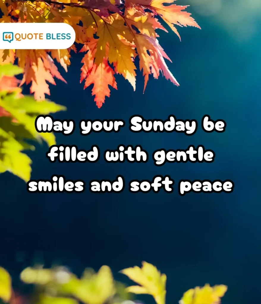 Encouraging Words for a Hopeful Morning