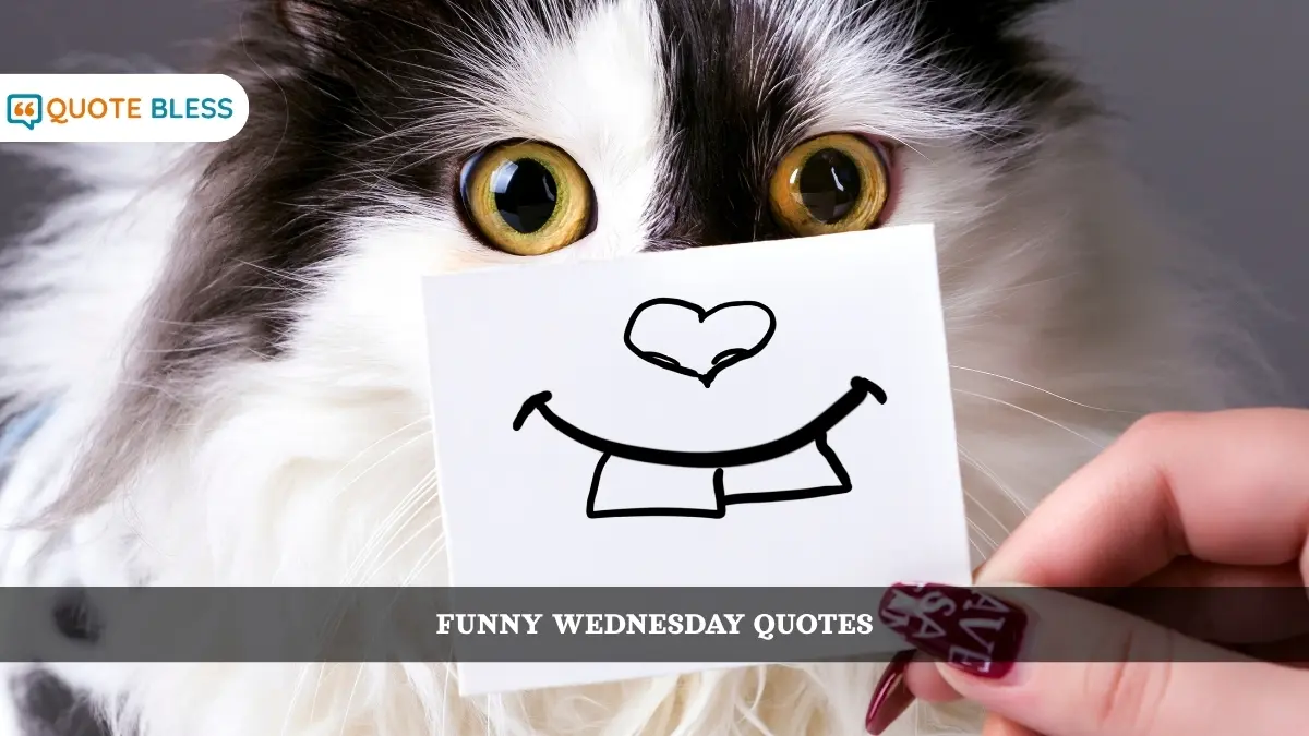Short Funny Wednesday Quotes to Share with Others