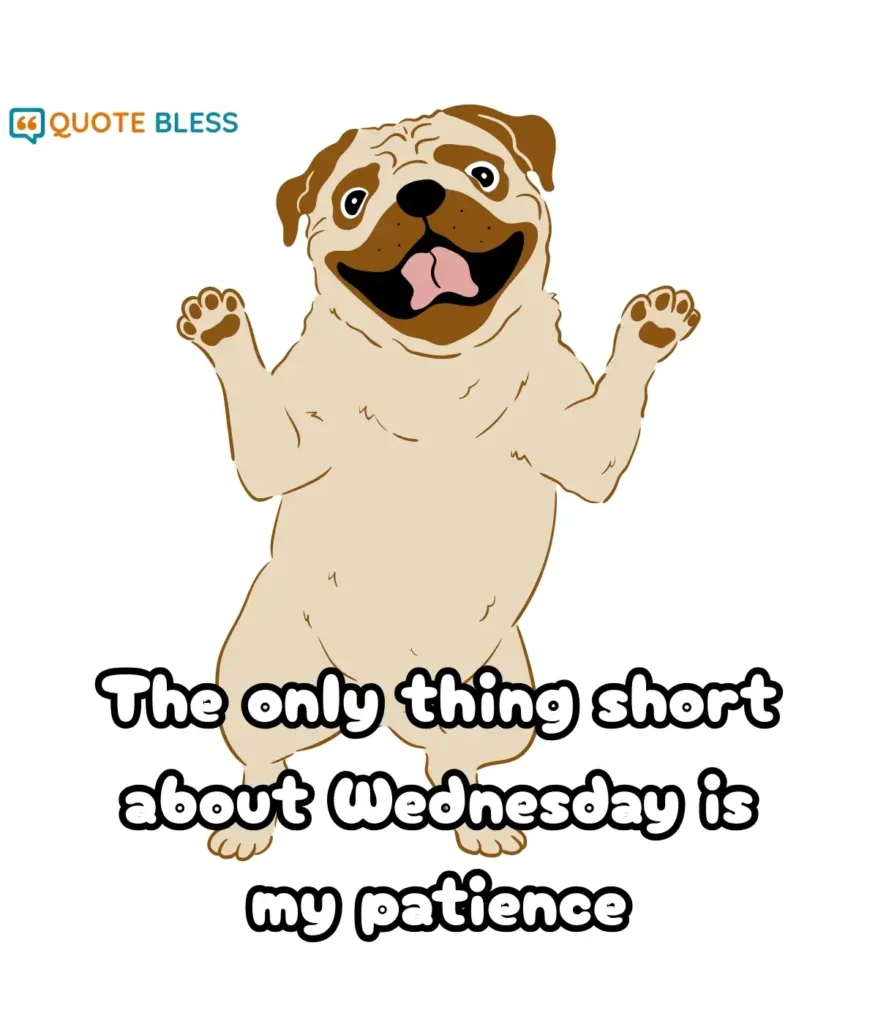 Clever and Sarcastic Midweek Sayings