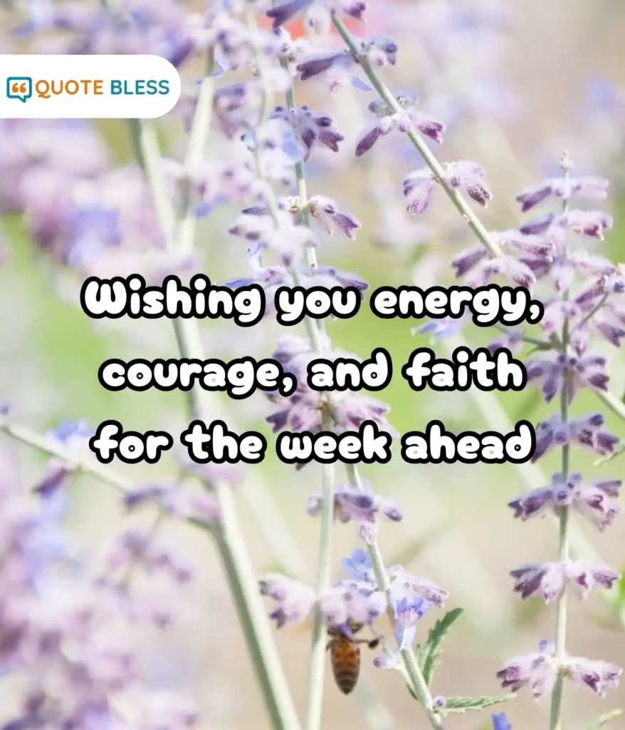 Inspiring Messages for Focus and Determination