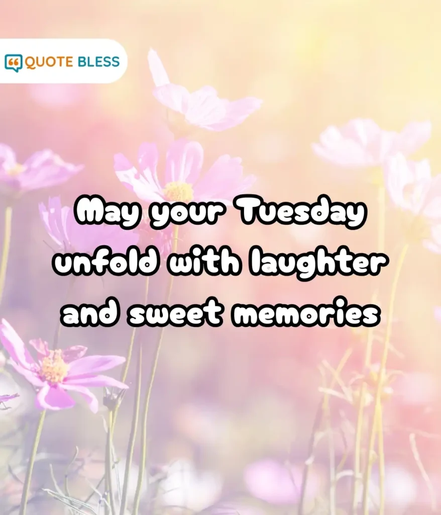 Words of Gratitude for a Blessed Tuesday