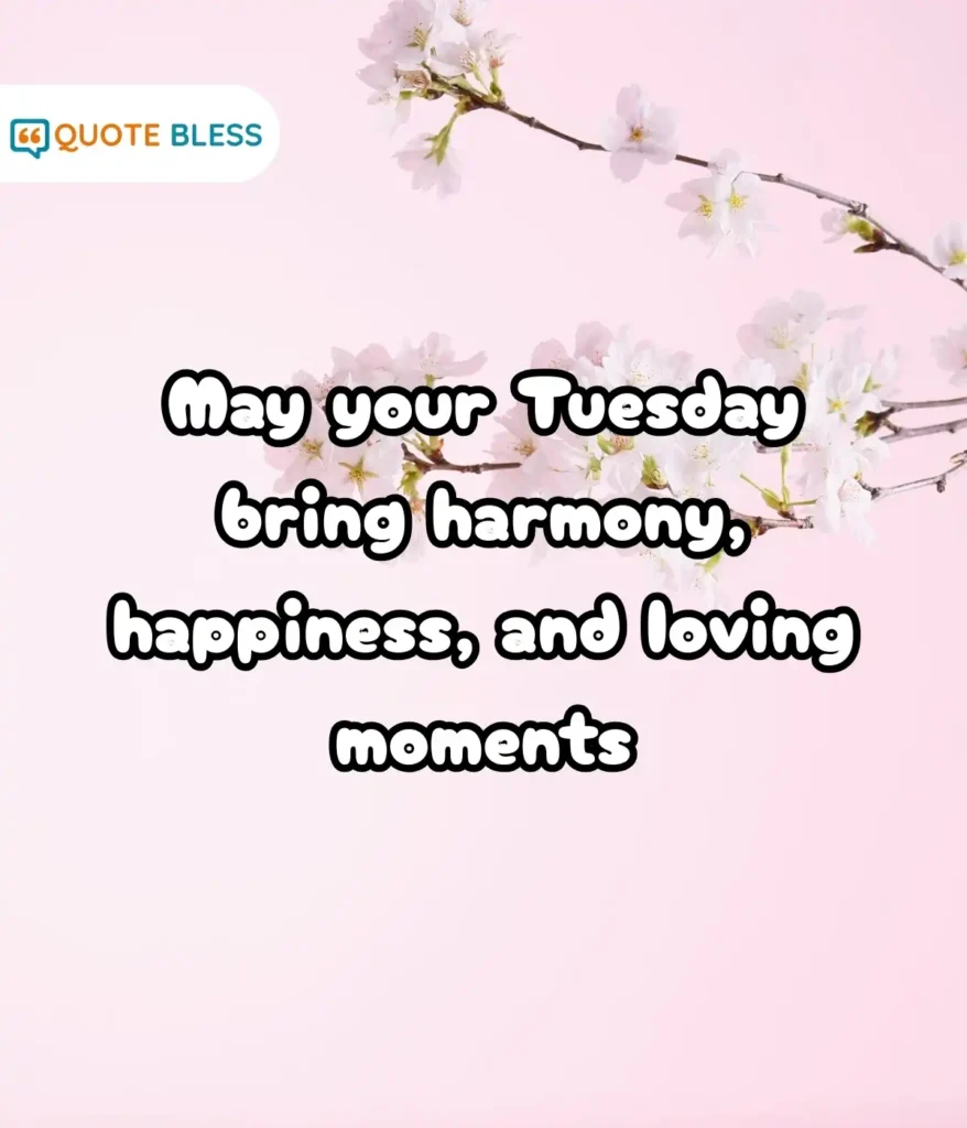 Daily Reminders for Peace and Balance