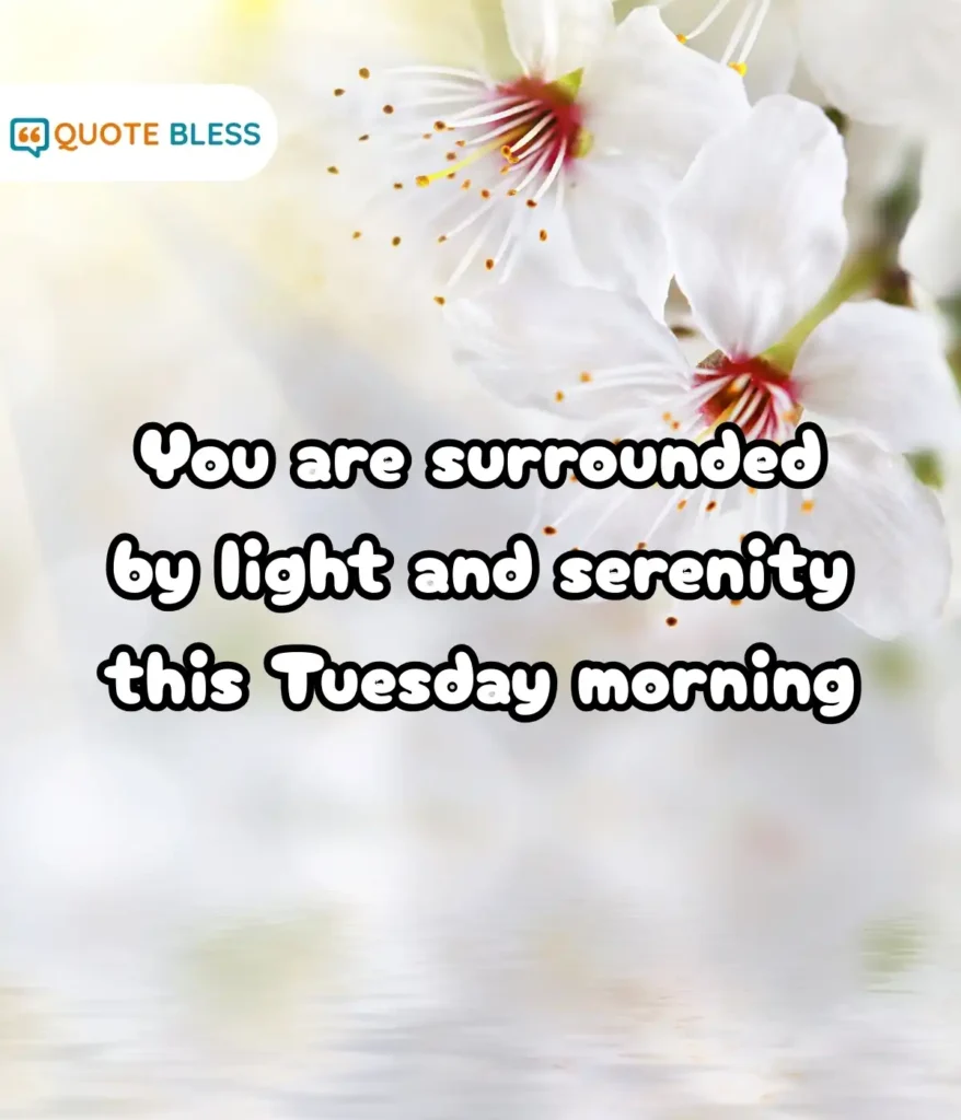 Empowering Words for a Happy Tuesday