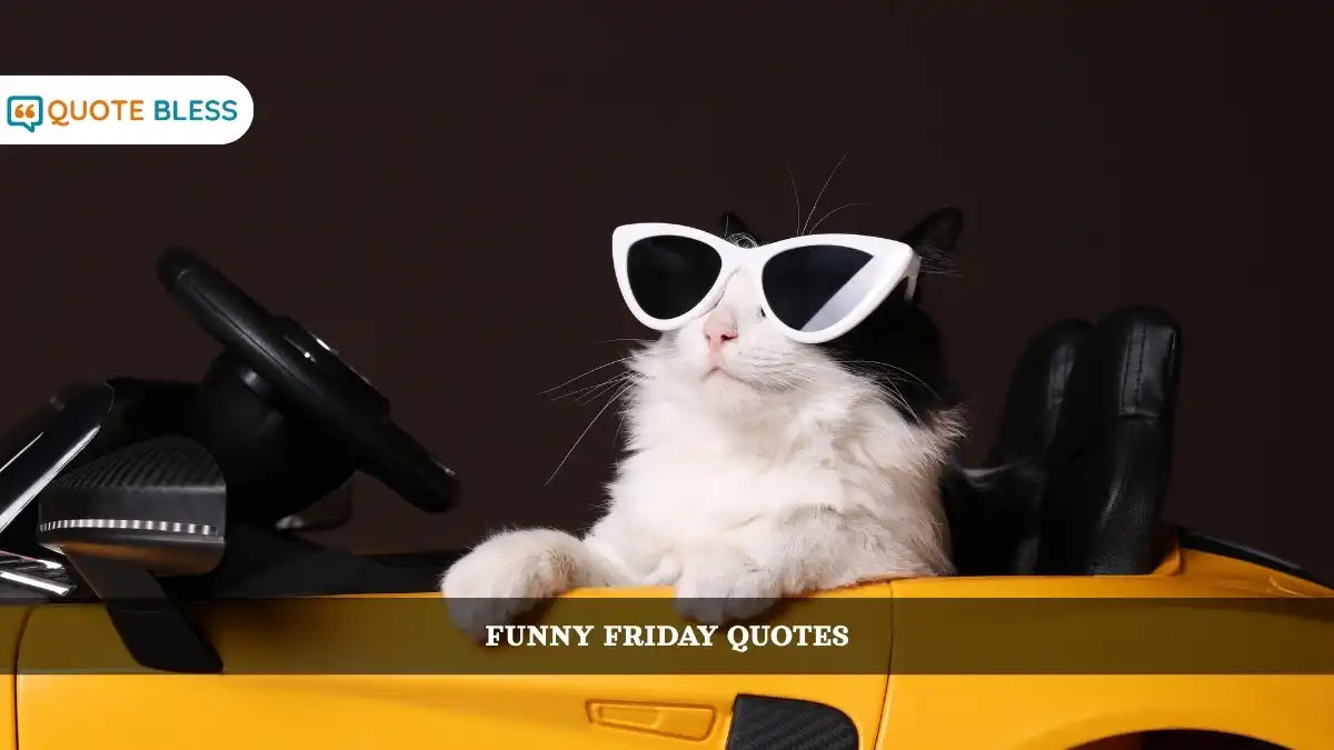 Short Funny Friday Quotes to Start Weekend with A Smile