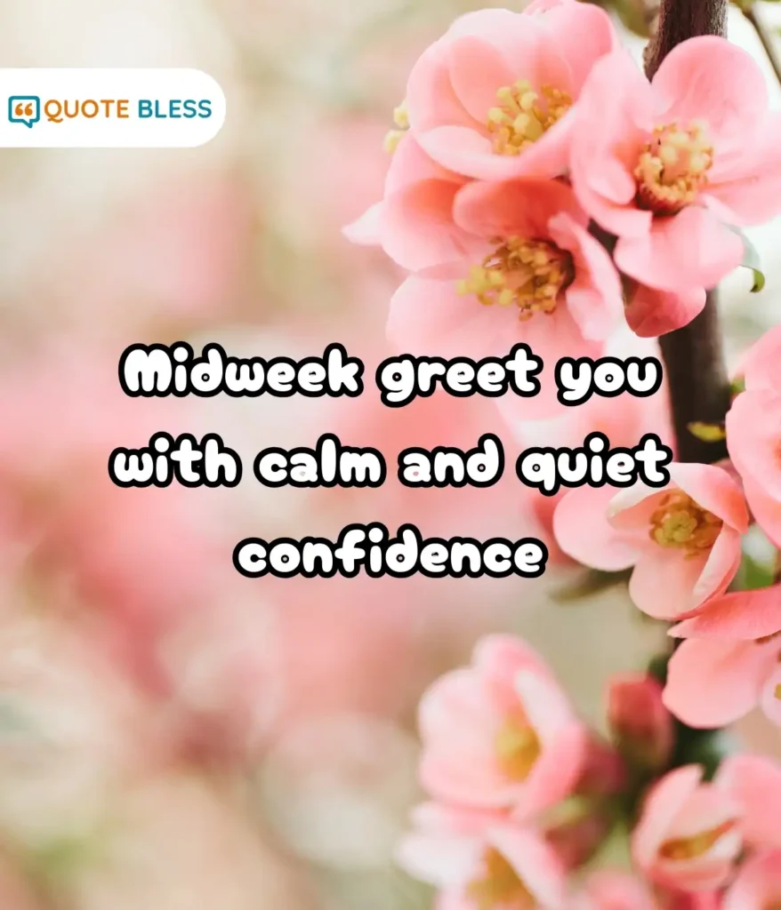 Minimalist Cards with Soothing Palettes