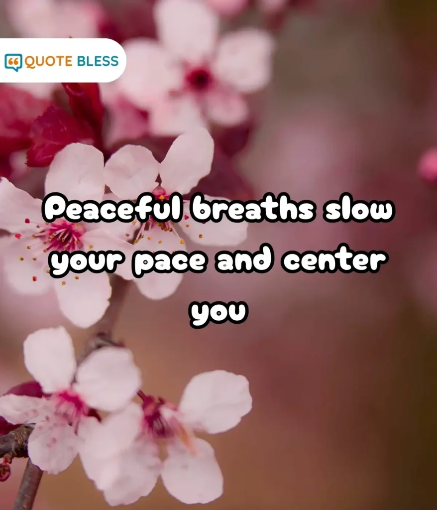 Simple Greetings for a Calm Start