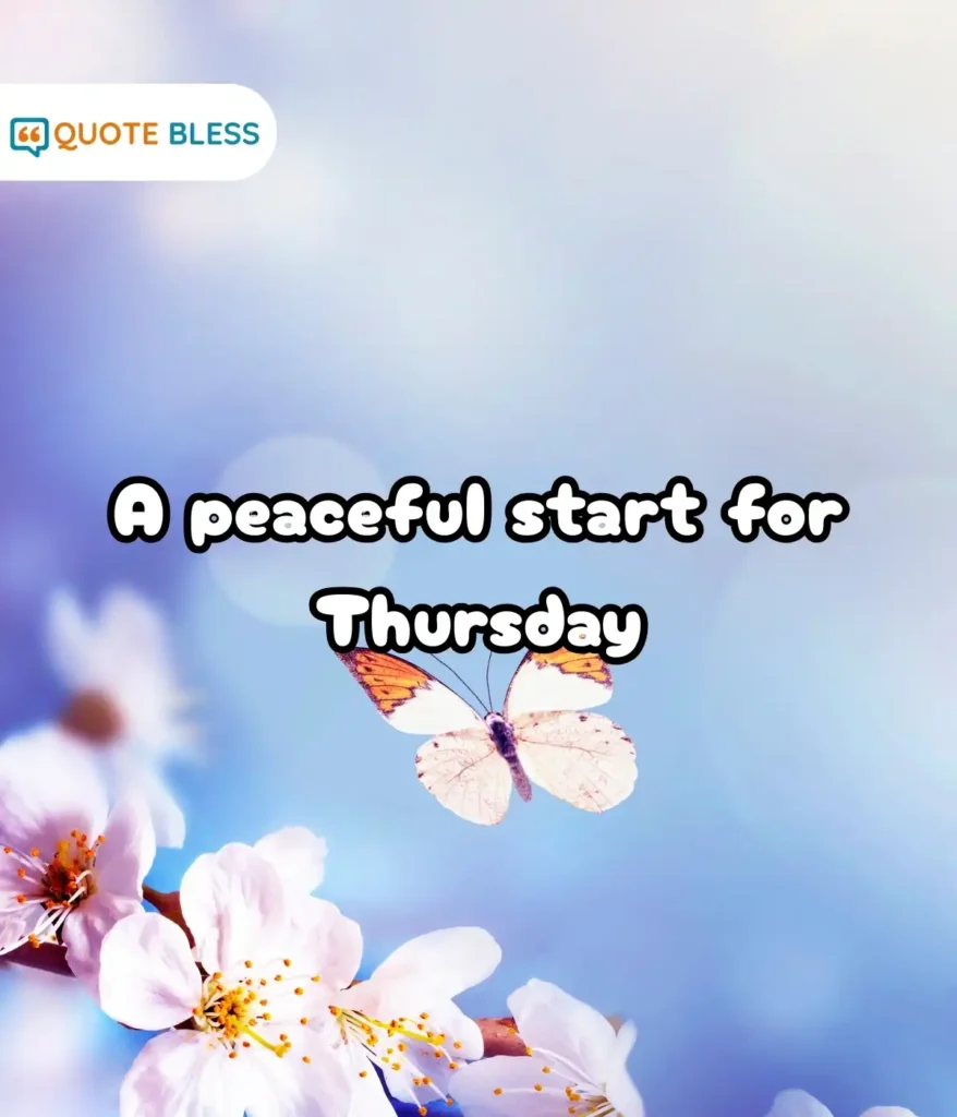 Appreciation Notes for Life and Health