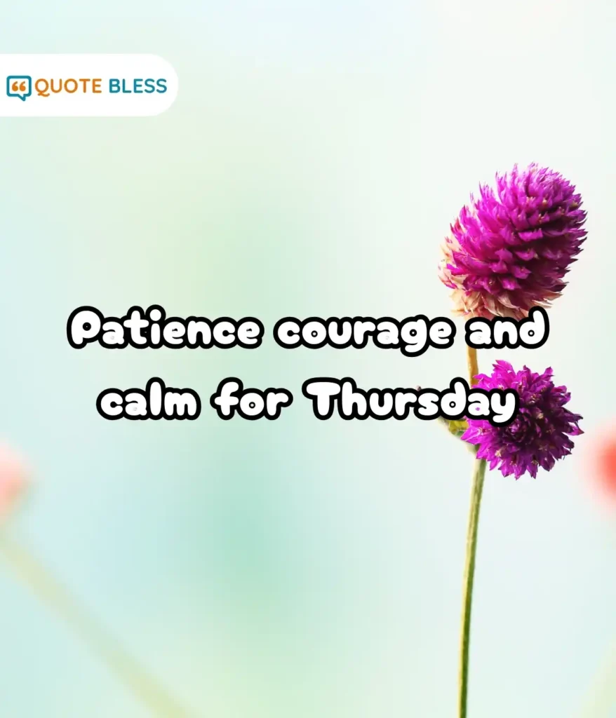 Short Captions for Instagram and WhatsApp