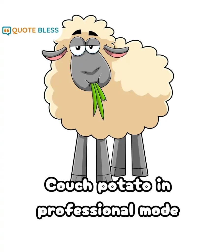 Nap Time Humor for a Chill Day