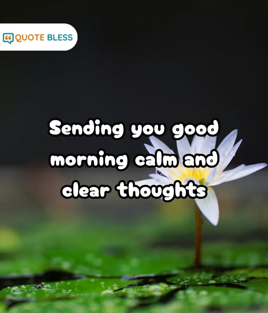 Energy Boost for a Productive Day