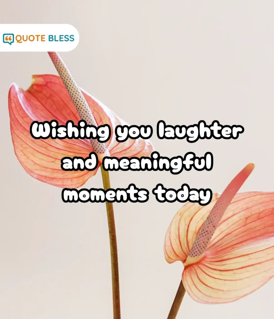 Positive Lines for Stories and Status