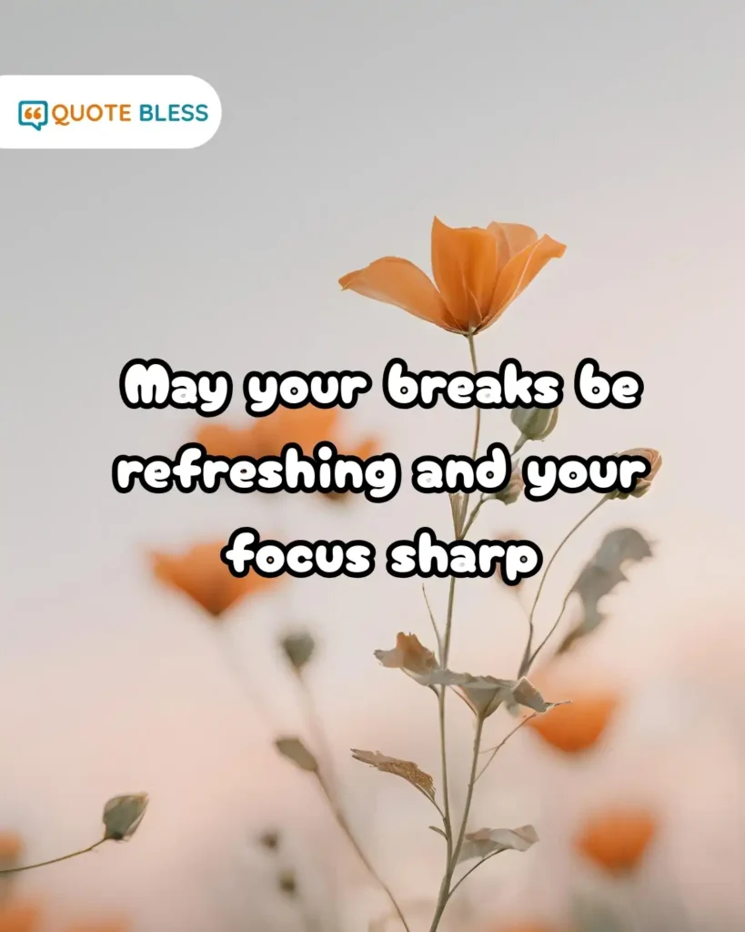 Light and Funny Spins