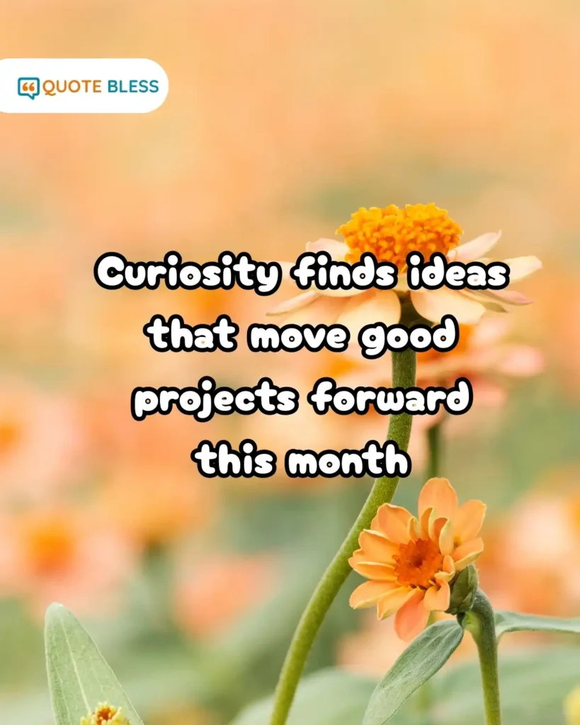 Gratitude and Mindfulness Prompts