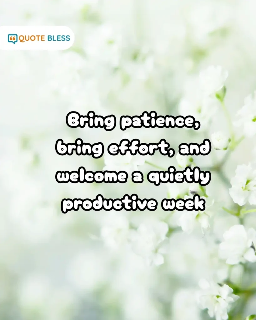 Polite Wishes for Clients and Partners