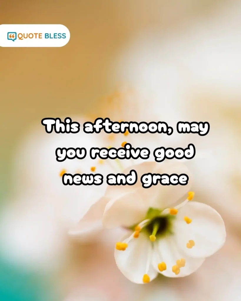 Polite Afternoon Messages for Client Updates