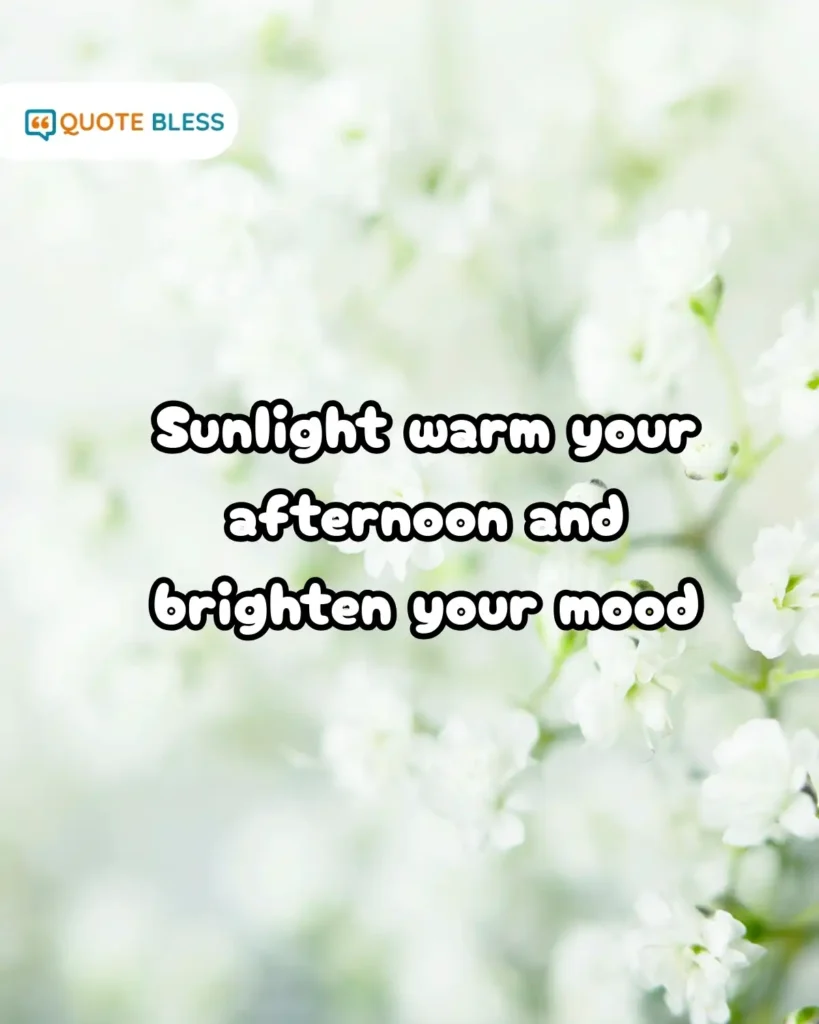 Thursday Afternoon Blessings