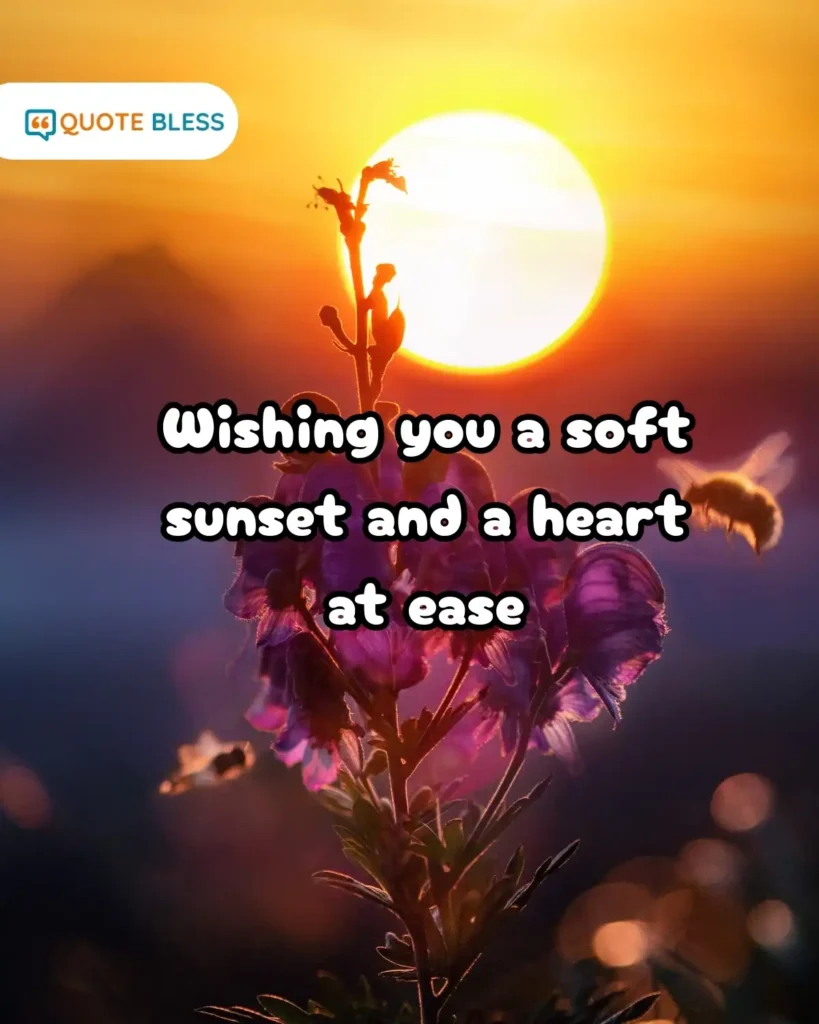 Short Evening Messages for Instant Sharing