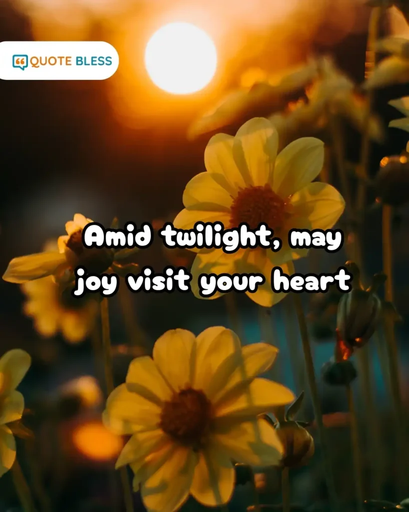 Copy-Ready Good Evening Texts for SMS