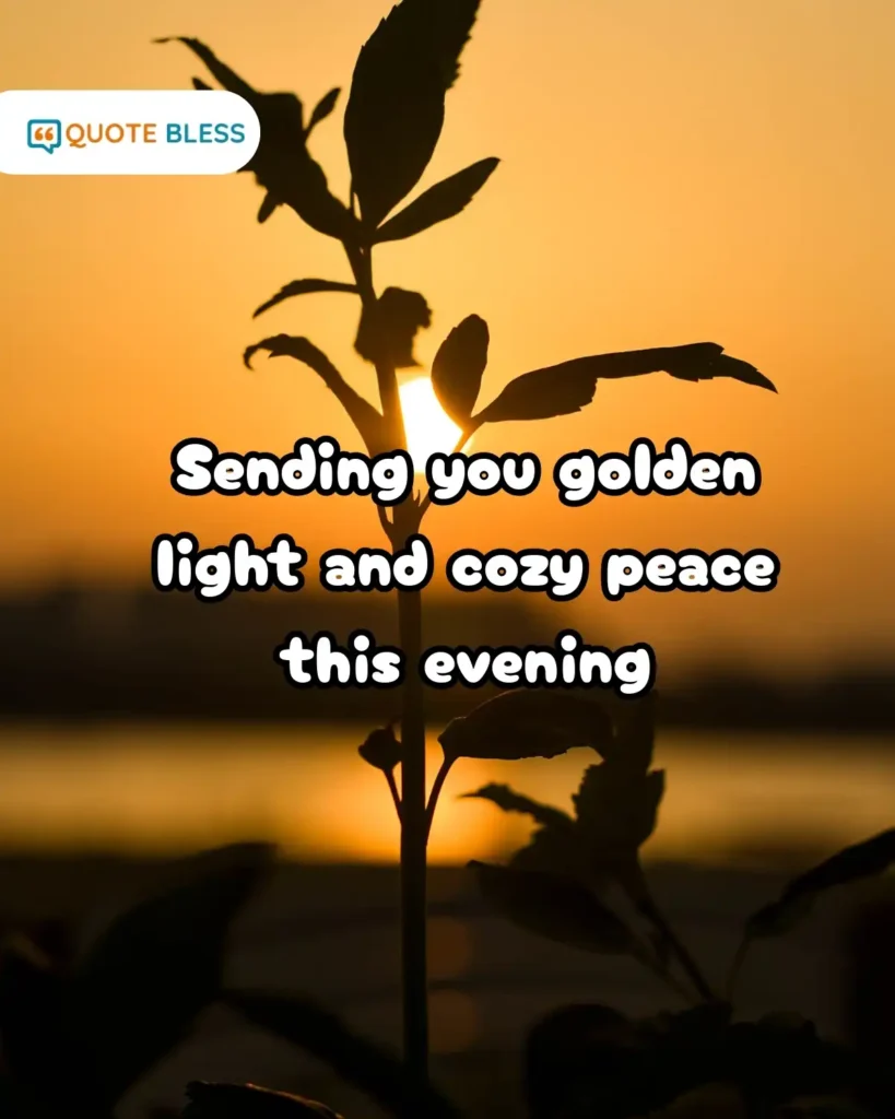 Quick Picks for this Evening